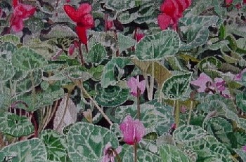 Roca 10